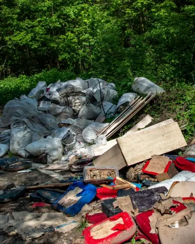 Blog Tall bin strikes