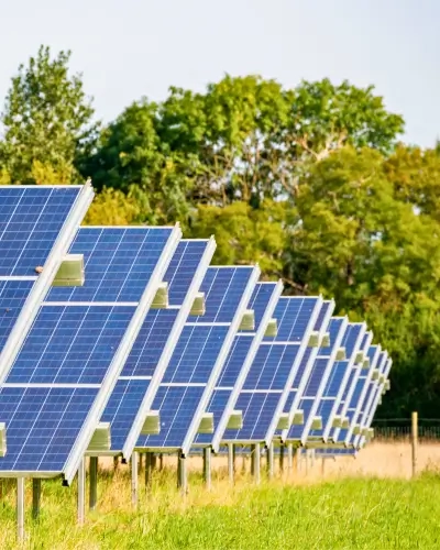 The Environmental Impact of Solar Farm Security Thumbnail Tall