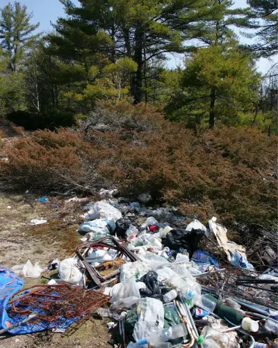 Blog Tall Fly-tipping next to a roadside with bushes (400 x 500 px)