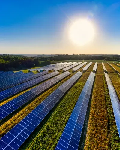 Blog Tall Solar Panels in a row in a field