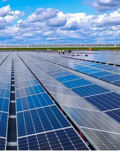 Blog Tall Solar panels being installed as part of a solar farm project