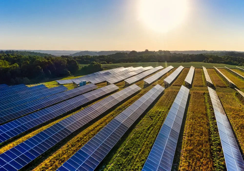 Header Solar Farms in a row in a field